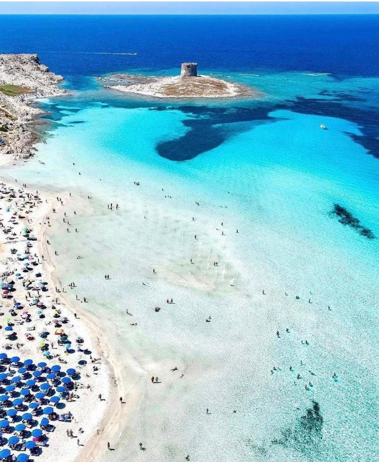 La Dolce Vita , Fronte Mare Castelsardo Buitenkant foto